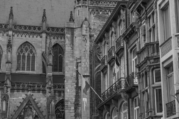 Belçika 'daki Wallonia' da sonbahar zamanı