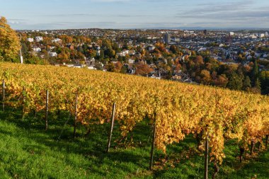 Almanya 'nın Wiesbaden şehrinde sonbahar mevsimi