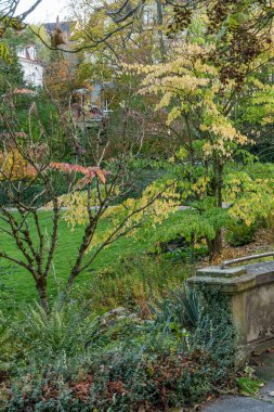 Almanya 'daki Wiesbaden şehri.