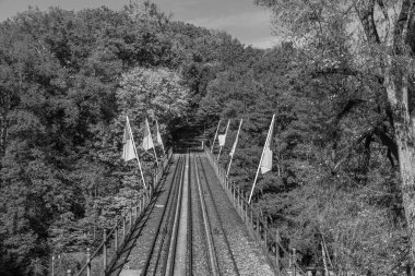 Almanya 'daki Wiesbaden şehri.