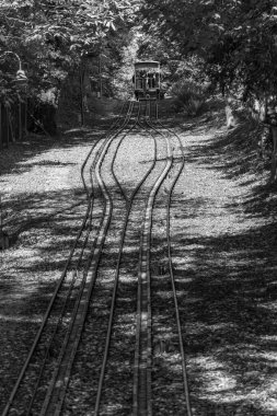 Almanya 'daki Wiesbaden şehri.