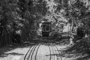 Almanya 'daki Wiesbaden şehri.