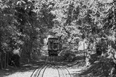 Almanya 'daki Wiesbaden şehri.