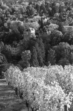 Almanya 'daki Wiesbaden şehri.