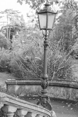 Almanya 'daki Wiesbaden şehri.