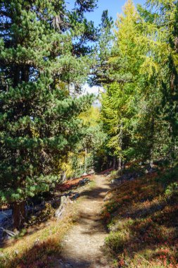 İsviçre dağlarında sonbahar zamanı