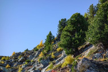 İsviçre Alpleri Sonbaharda