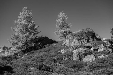 İsviçre Alplerinde hikimg