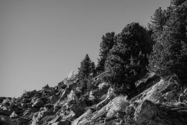 İsviçre Alplerinde hikimg