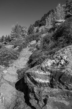 İsviçre Alplerinde sonbahar zamanı.