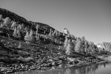 İsviçre Alplerinde sonbahar zamanı.