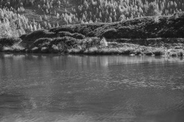 İsviçre Alplerinde sonbahar zamanı.