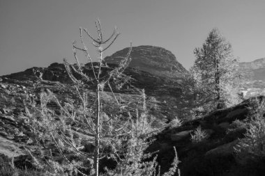 İsviçre Alplerinde sonbahar zamanı.