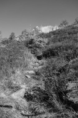 İsviçre Alplerinde sonbahar zamanı.