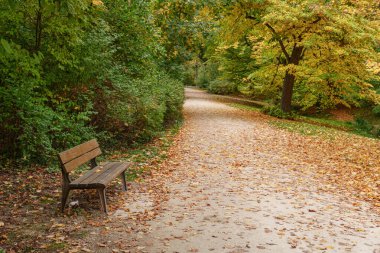 Wiesbaden şehrinde sonbahar zamanı