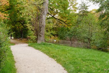 Almanya 'nın Wiesbaden şehrinde sonbahar mevsimi