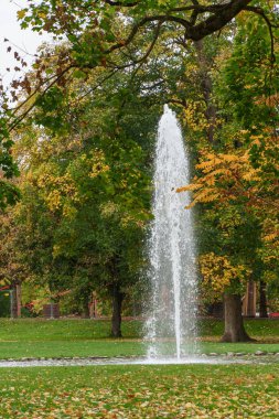 Almanya 'nın Wiesbaden şehrinde sonbahar mevsimi
