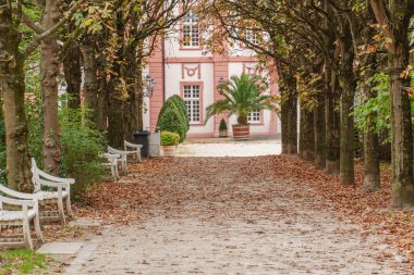 Almanya 'nın Wiesbaden şehrinde sonbahar mevsimi