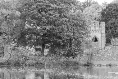 Almanya 'nın Wiesbaden şehrinde sonbahar mevsimi