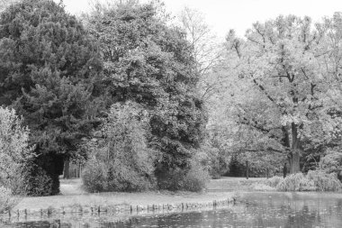 Almanya 'nın Wiesbaden şehrinde sonbahar mevsimi