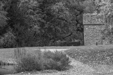 Almanya 'nın Wiesbaden şehrinde sonbahar mevsimi