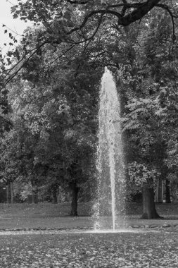 Almanya 'nın Wiesbaden şehrinde sonbahar mevsimi