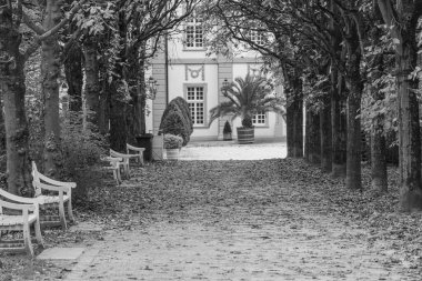 Almanya 'nın Wiesbaden şehrinde sonbahar mevsimi