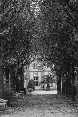 Almanya 'nın Wiesbaden şehrinde sonbahar mevsimi