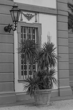 Almanya 'nın Wiesbaden şehrinde sonbahar mevsimi