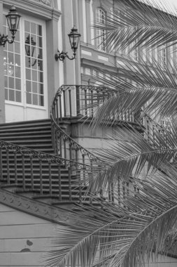 Almanya 'nın Wiesbaden şehrinde sonbahar mevsimi