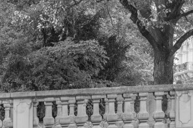 Almanya 'nın Wiesbaden şehrinde sonbahar mevsimi