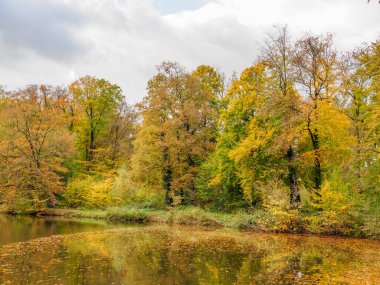 Alman Westphalia 'sında, Raesfeld' de sonbahar zamanı
