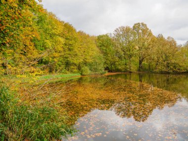 Alman Westphalia 'sında, Raesfeld' de sonbahar zamanı
