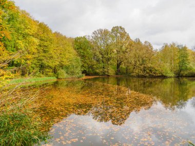Alman Westphalia 'sında, Raesfeld' de sonbahar zamanı