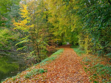 Alman Westphalia 'sında, Raesfeld' de sonbahar zamanı