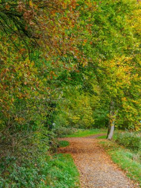 Alman Westphalia 'sında, Raesfeld' de sonbahar zamanı