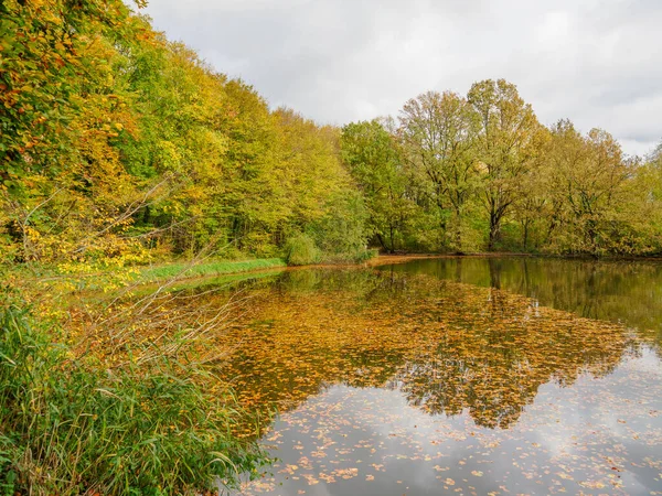 Alman Westphalia 'sında, Raesfeld' de sonbahar zamanı
