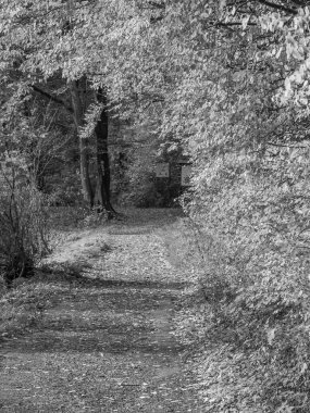 Alman Westphalia 'sında, Raesfeld' de sonbahar zamanı