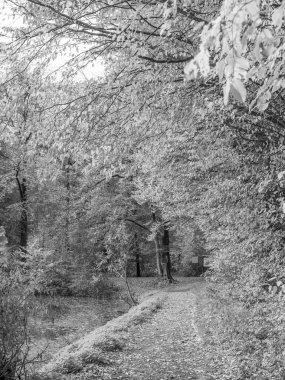 Alman Westphalia 'sında, Raesfeld' de sonbahar zamanı