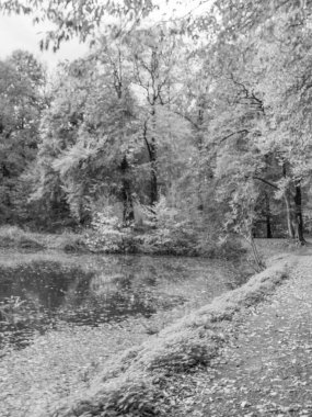 Alman Westphalia 'sında, Raesfeld' de sonbahar zamanı