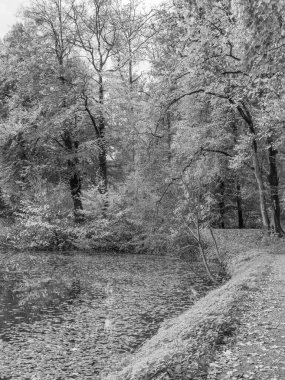 Alman Westphalia 'sında, Raesfeld' de sonbahar zamanı