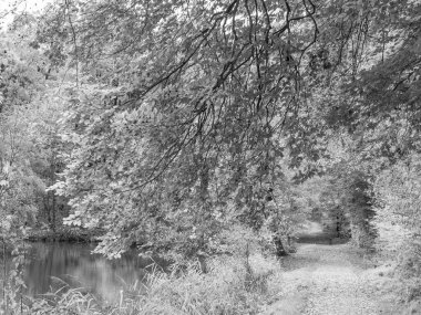 Alman Westphalia 'sında, Raesfeld' de sonbahar zamanı
