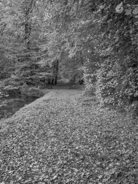 Alman Westphalia 'sında, Raesfeld' de sonbahar zamanı
