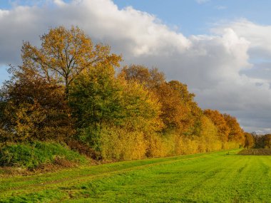 Alman Muensterland 'inde sonbahar zamanı
