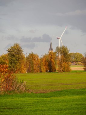 Alman Muensterland 'inde sonbahar zamanı