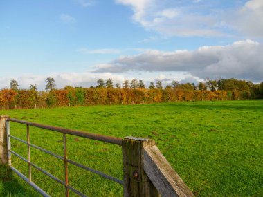 Alman Muensterland 'inde sonbahar zamanı