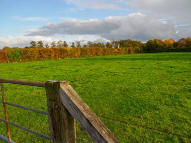 Alman Muensterland 'inde sonbahar zamanı