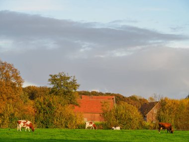 Westphalia Borken 'de sonbahar zamanı