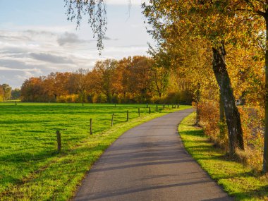 Westphalia Borken 'de sonbahar zamanı
