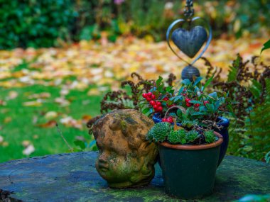 Westphalia Borken 'de sonbahar zamanı